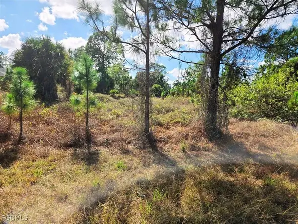 951 Chadwick AVE, Lehigh Acres, FL 33974