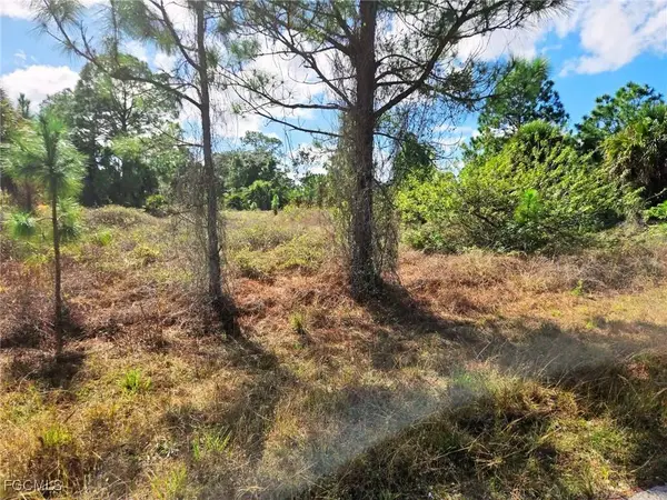 951 Chadwick AVE, Lehigh Acres, FL 33974