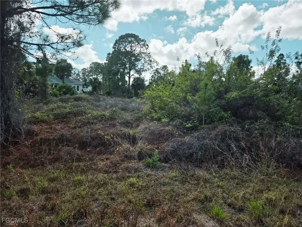 951 Chadwick AVE, Lehigh Acres, FL 33974