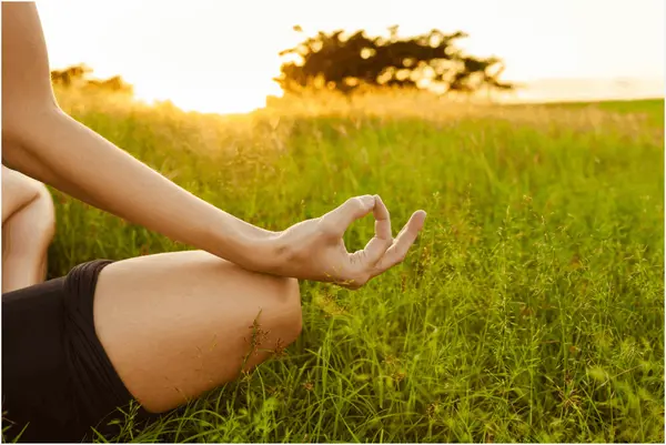 The Power of Mindful Living: Simple Practices for Everyday Joy,Jolie Lohmann