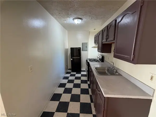 317 E 156th ST #4, Cleveland, OH 44110