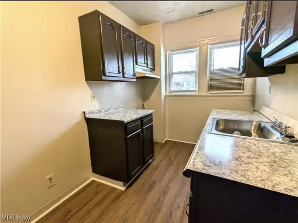 317 E 156th ST #1, Cleveland, OH 44110