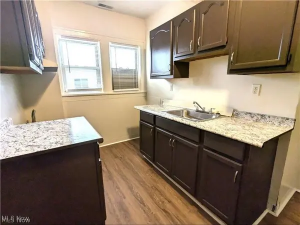 317 E 156th ST #1, Cleveland, OH 44110