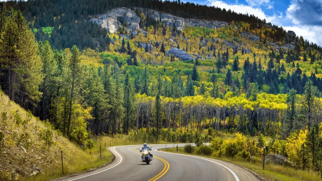 Sturgis