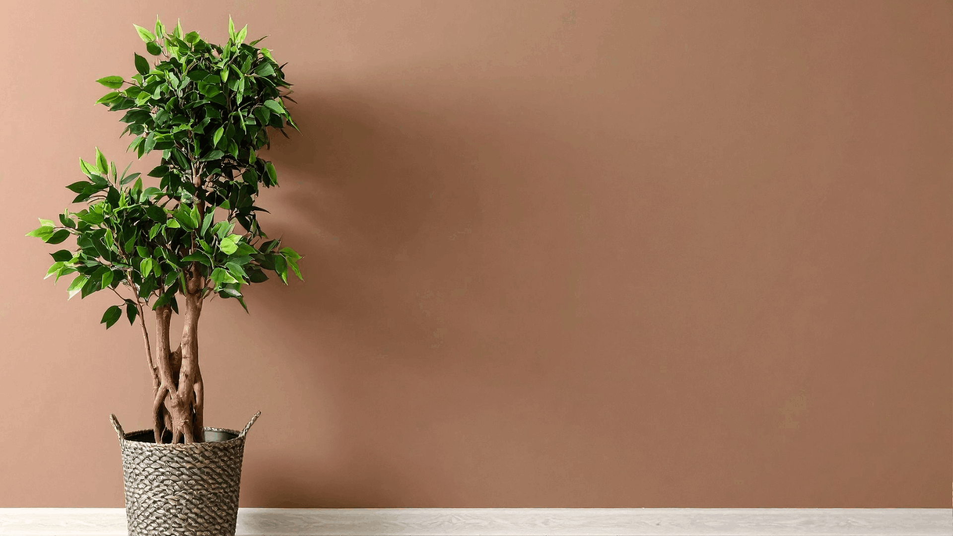 blog banner