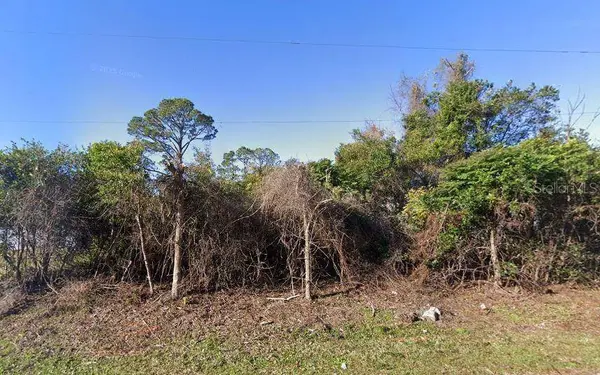 88 FLAMINGO DR