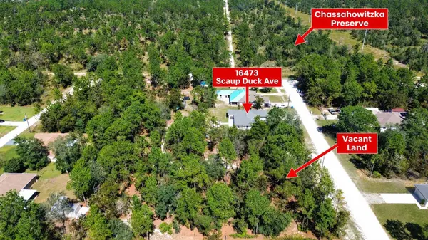 16473 SCAUP DUCK AVE, Weeki Wachee, FL 34614