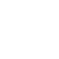 True North Group