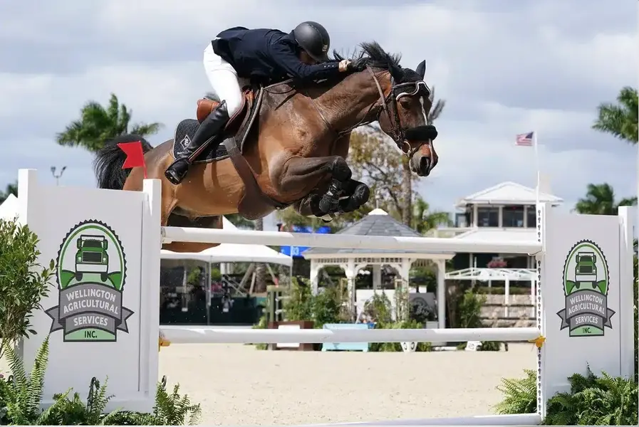Wellington | LakeWorth