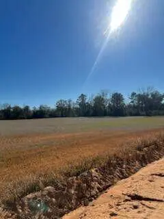 5123 Elmore RD, Marianna, FL 32446