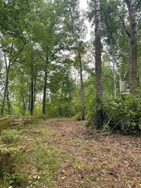 TBD Lacy LN SW, Pequot Lakes, MN 56472