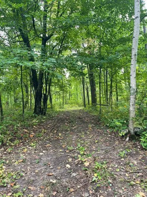 TBD Lacy LN SW, Pequot Lakes, MN 56472