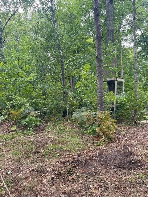 TBD Lacy LN SW, Pequot Lakes, MN 56472