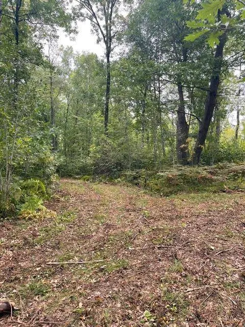 TBD Lacy LN SW, Pequot Lakes, MN 56472
