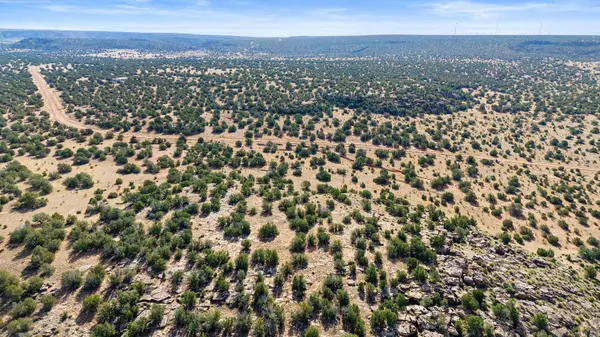 1779 Lost Saddle Loop, Santa Rosa, NM 88435