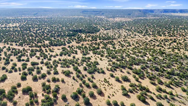 1779 Lost Saddle Loop, Santa Rosa, NM 88435