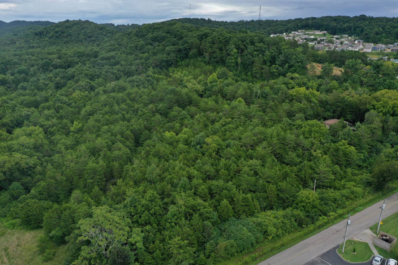 220 Milldale Rd Dandridge TN 37725
