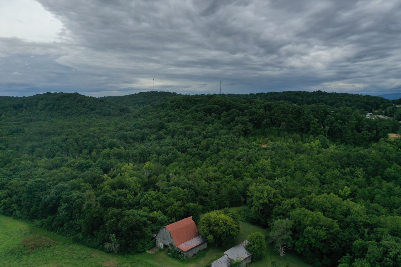 220 Milldale Rd Dandridge TN 37725