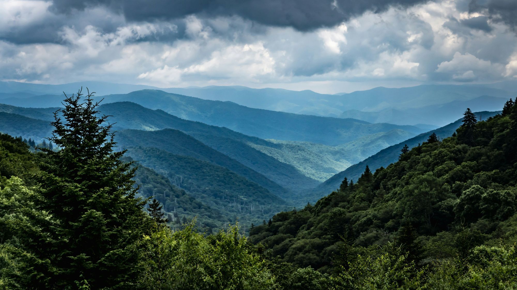 Sevier County Forever Home