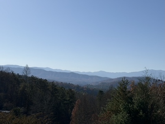 Obes Branch Rd Sevierville TN 37876