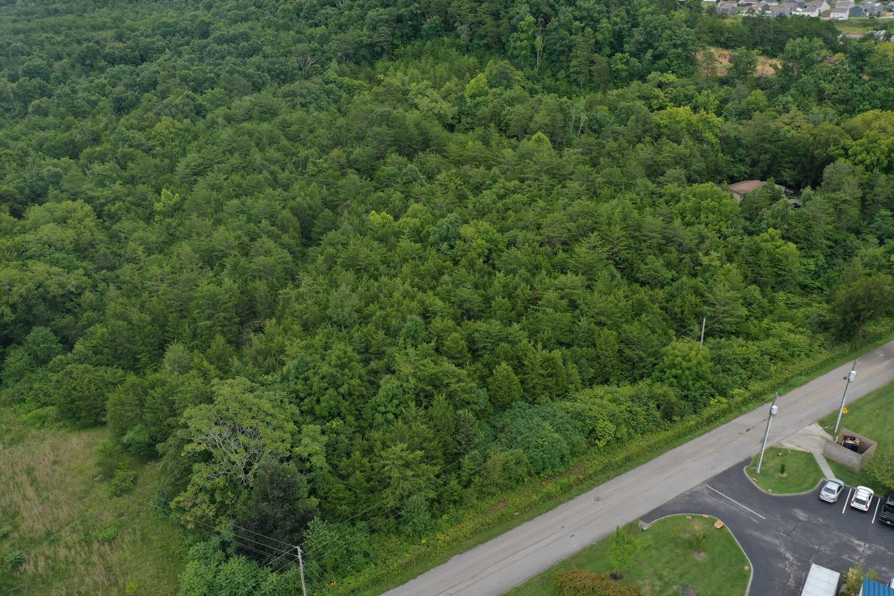 220 Milldale Rd Dandridge TN 37725
