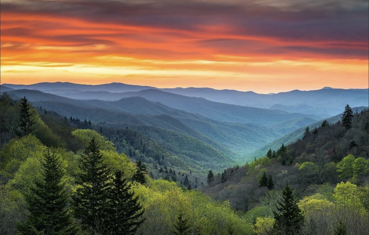 Sevier County Forever Home