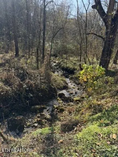 Parcel 053 050.00 Obes Branch Rd, Sevierville, TN 37876