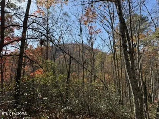 Parcel 053 050.00 Obes Branch Rd, Sevierville, TN 37876