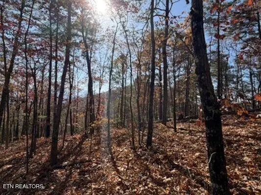 Parcel 053 050.00 Obes Branch Rd, Sevierville, TN 37876