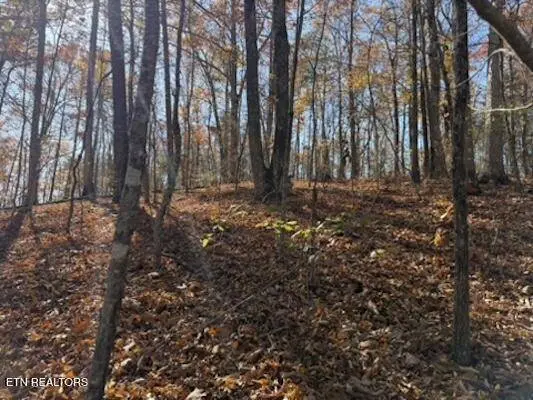 Parcel 053 050.00 Obes Branch Rd, Sevierville, TN 37876