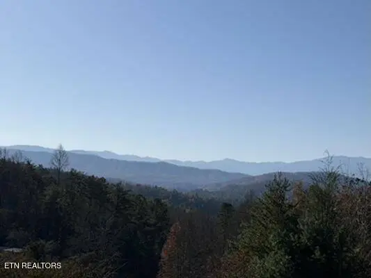 Parcel 053 050.00 Obes Branch Rd, Sevierville, TN 37876