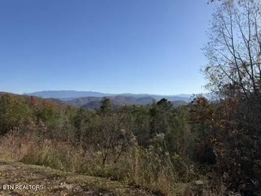 Parcel 053 050.00 Obes Branch Rd, Sevierville, TN 37876