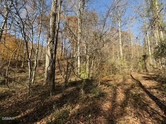 0 053 050.00 Obes Branch Road, Sevierville, TN 37876