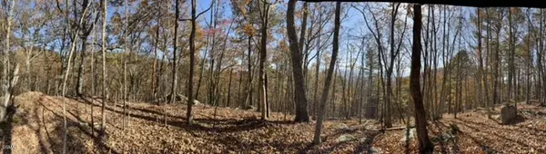 0 053 050.00 Obes Branch Road, Sevierville, TN 37876