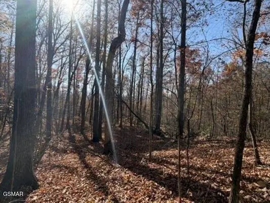 0 053 050.00 Obes Branch Road, Sevierville, TN 37876