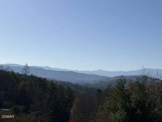 0 053 050.00 Obes Branch Road, Sevierville, TN 37876