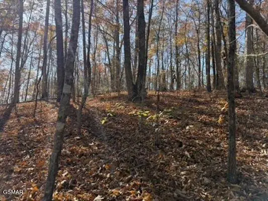 0 053 050.00 Obes Branch Road, Sevierville, TN 37876