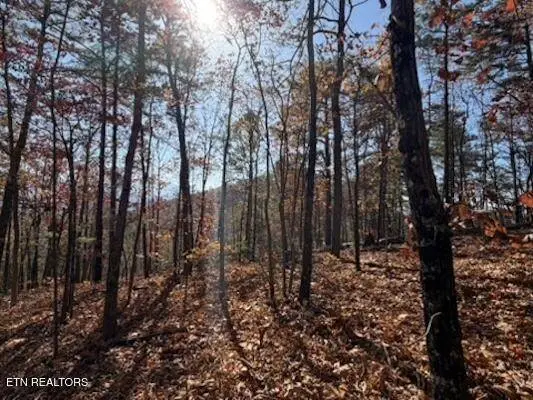 0 Parcel 053 050.00 Obes Branch, Sevierville, TN 37876
