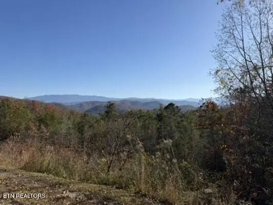 0 Parcel 053 050.00 Obes Branch, Sevierville, TN 37876