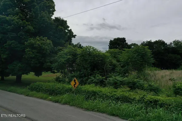 220 Milldale Rd, Dandridge, TN 37725