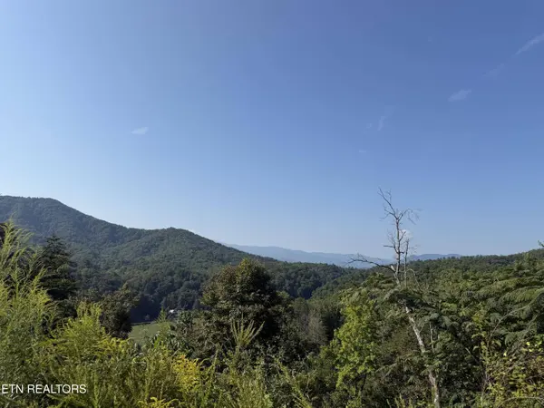 4228 Wears Valley Rd, Sevierville, TN 37862