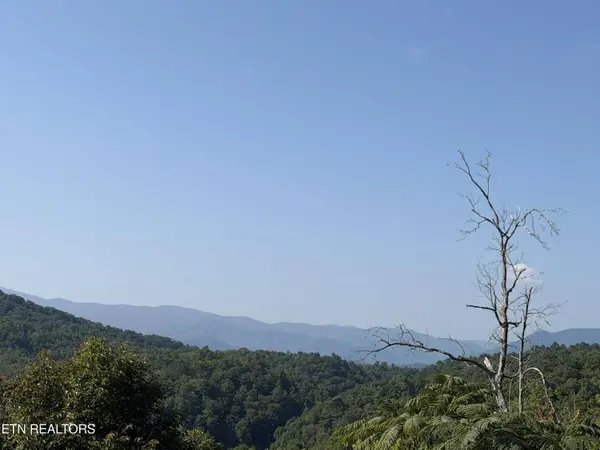 4228 Wears Valley Rd, Sevierville, TN 37862
