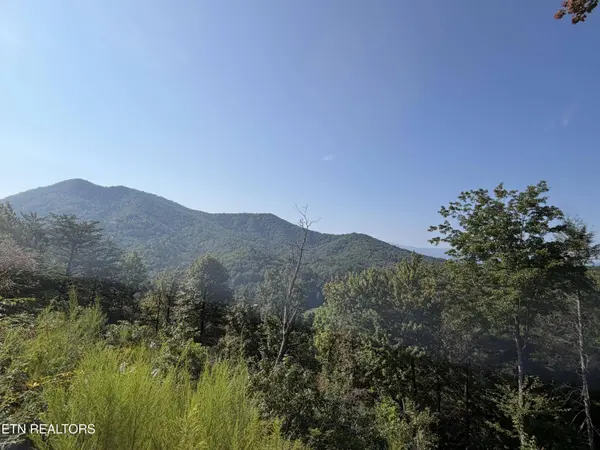 4228 Wears Valley Rd, Sevierville, TN 37862