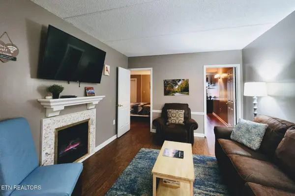 413 Baskins Creek Rd #301, Gatlinburg, TN 37738