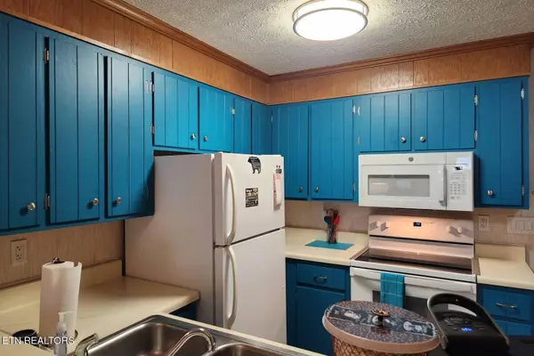 1102 Ski View Drive #208, Gatlinburg, TN 37738