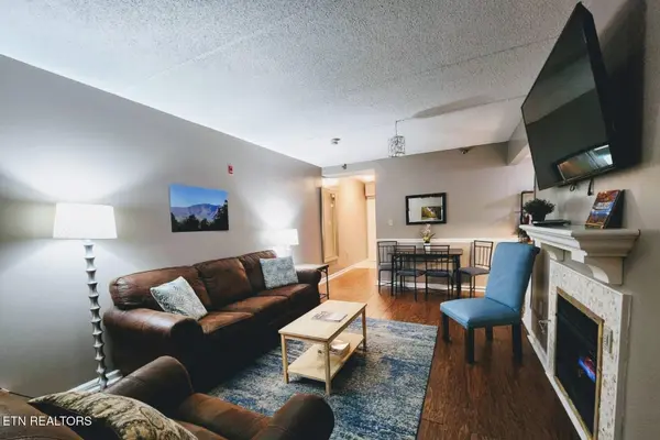 413 Baskins Creek Rd #301, Gatlinburg, TN 37738