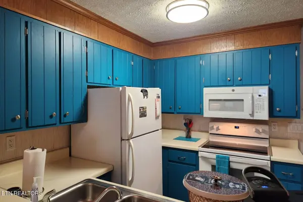 1102 Ski View DR #UNIT 208, Gatlinburg, TN 37738