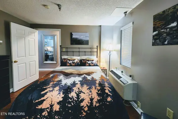 413 Baskins Creek Rd #301, Gatlinburg, TN 37738