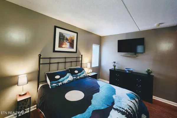 413 Baskins Creek Rd #301, Gatlinburg, TN 37738