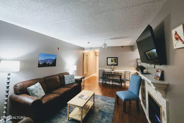 413 Baskins Creek Rd #301, Gatlinburg, TN 37738